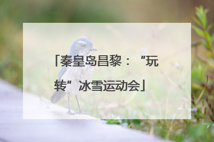 秦皇岛昌黎：“玩转”冰雪运动会