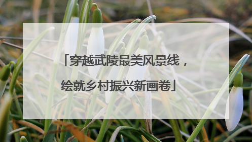 穿越武陵最美风景线，绘就乡村振兴新画卷