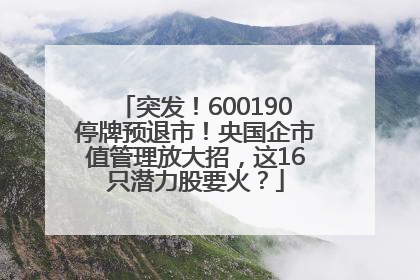 突发！600190停牌预退市！央国企市值管理放大招，这16只潜力股要火？