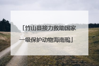 竹山县接力救助国家一级保护动物海南鳽