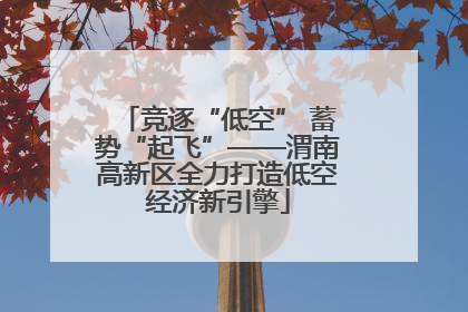 竞逐“低空” 蓄势“起飞”——渭南高新区全力打造低空经济新引擎