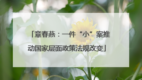章春燕：一件“小”案推动国家层面政策法规改变