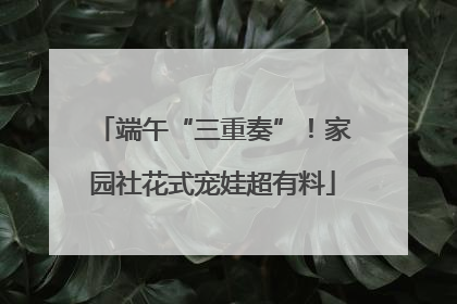 端午“三重奏”！家园社花式宠娃超有料