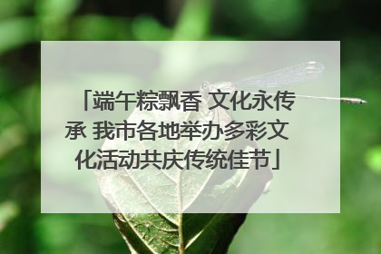 端午粽飘香 文化永传承 我市各地举办多彩文化活动共庆传统佳节