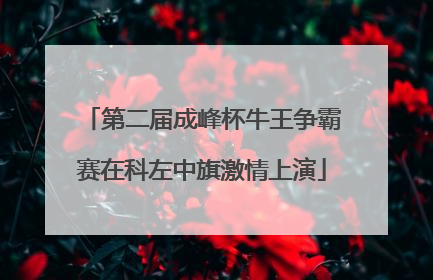 第二届成峰杯牛王争霸赛在科左中旗激情上演