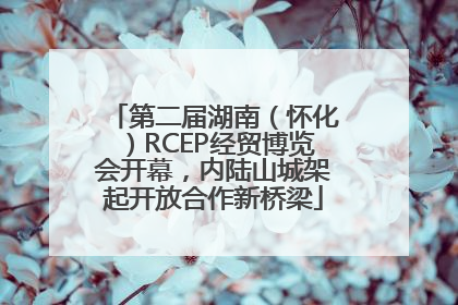 第二届湖南（怀化）RCEP经贸博览会开幕，内陆山城架起开放合作新桥梁