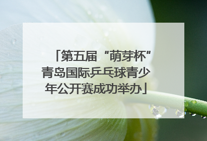 第五届“萌芽杯”青岛国际乒乓球青少年公开赛成功举办
