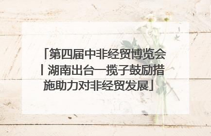 第四届中非经贸博览会丨湖南出台一揽子鼓励措施助力对非经贸发展