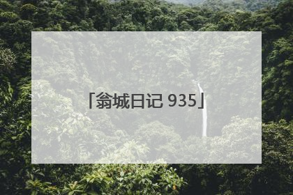 翁城日记 935