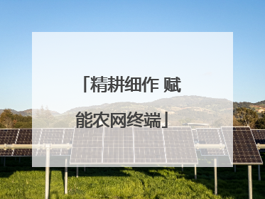 精耕细作 赋能农网终端