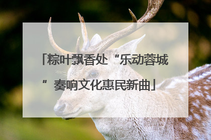 粽叶飘香处“乐动蓉城”奏响文化惠民新曲