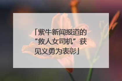 紫牛新闻报道的“救人女司机”获见义勇为表彰