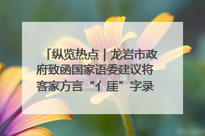 纵览热点｜龙岩市政府致函国家语委建议将客家方言“亻厓”字录入《新华字典》引发热议，当地回应