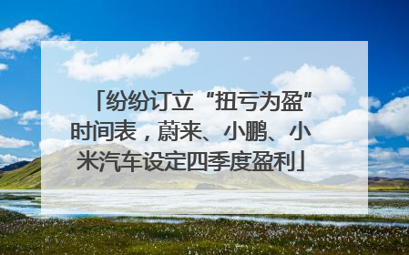 纷纷订立“扭亏为盈”时间表，蔚来、小鹏、小米汽车设定四季度盈利