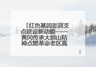 红色基因澎湃支点建设新动能——黄冈传承大别山精神点燃革命老区高质量发展新引擎