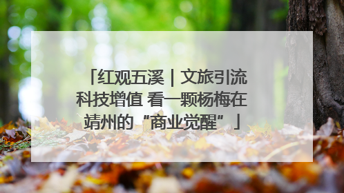 红观五溪｜文旅引流 科技增值 看一颗杨梅在靖州的“商业觉醒”