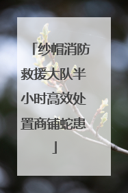 纱帽消防救援大队半小时高效处置商铺蛇患