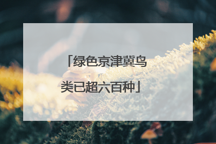 绿色京津冀鸟类已超六百种