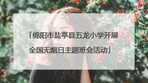 绵阳市盐亭县五龙小学开展全国无烟日主题班会活动