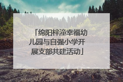 绵阳梓潼幸福幼儿园与自强小学开展支部共建活动