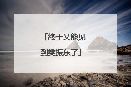 终于又能见到樊振东了