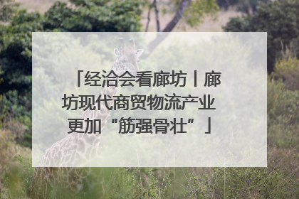 经洽会看廊坊丨廊坊现代商贸物流产业更加“筋强骨壮”