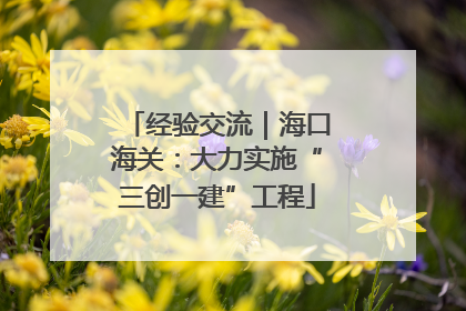 经验交流｜海口海关：大力实施“三创一建”工程