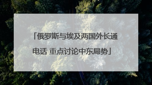 俄罗斯与埃及两国外长通电话 重点讨论中东局势
