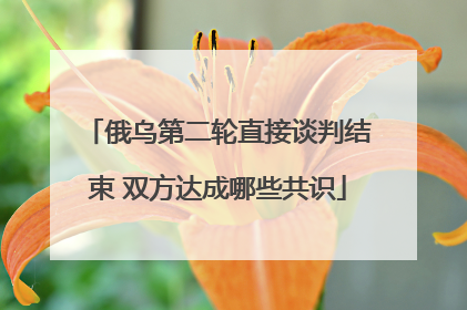 俄乌第二轮直接谈判结束 双方达成哪些共识