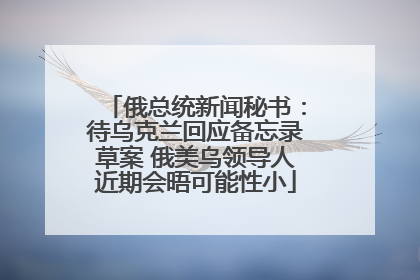 俄总统新闻秘书：待乌克兰回应备忘录草案 俄美乌领导人近期会晤可能性小