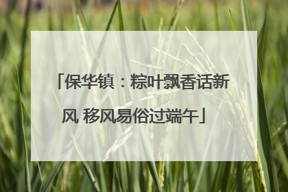保华镇：粽叶飘香话新风 移风易俗过端午