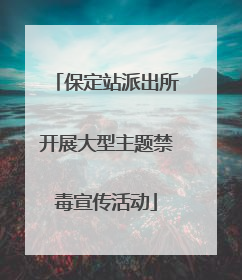 保定站派出所开展大型主题禁毒宣传活动