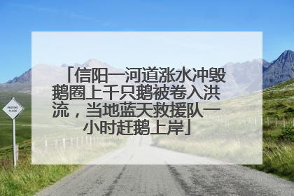 信阳一河道涨水冲毁鹅圈上千只鹅被卷入洪流，当地蓝天救援队一小时赶鹅上岸