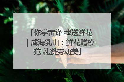 你学雷锋 我送鲜花｜威海乳山：鲜花赠模范 礼赞劳动美
