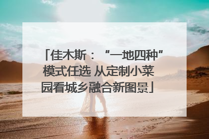 佳木斯：“一地四种” 模式任选 从定制小菜园看城乡融合新图景