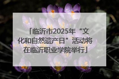 临沂市2025年“文化和自然遗产日”活动将在临沂职业学院举行