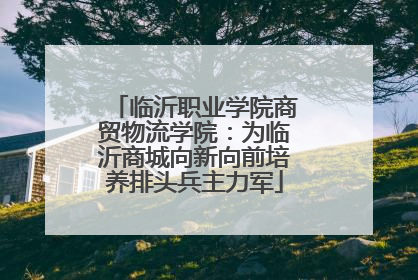 临沂职业学院商贸物流学院：为临沂商城向新向前培养排头兵主力军