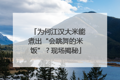 为何江汉大米能煮出“会跳舞的米饭”？现场揭秘