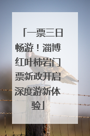 一票三日畅游！淄博红叶柿岩门票新政开启深度游新体验