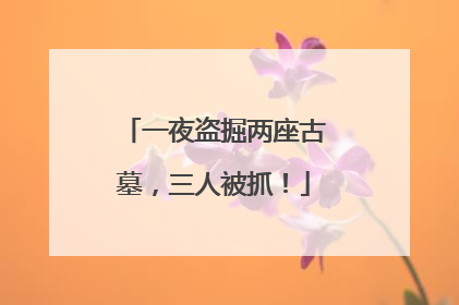 一夜盗掘两座古墓，三人被抓！