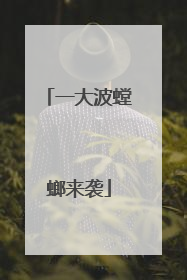 一大波螳螂来袭