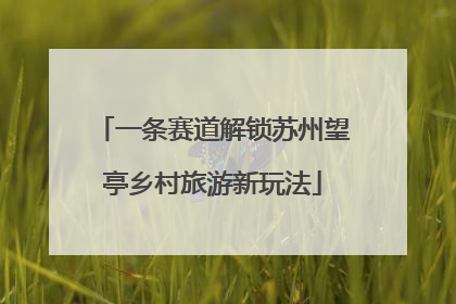 一条赛道解锁苏州望亭乡村旅游新玩法