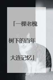 一棵老槐树下的百年大连记忆
