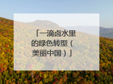 一滴卤水里的绿色转型（美丽中国）