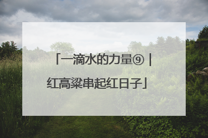 一滴水的力量⑨｜红高粱串起红日子