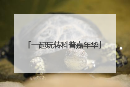 一起玩转科普嘉年华