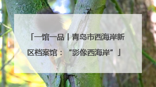 一馆一品丨青岛市西海岸新区档案馆：“影像西海岸”