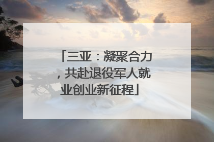 三亚：凝聚合力，共赴退役军人就业创业新征程