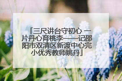三尺讲台守初心 一片丹心育桃李——记邵阳市双清区新渡中心完小优秀教师姚丹