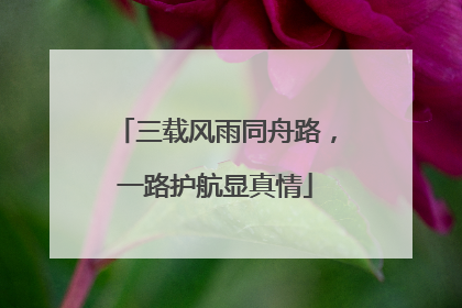 三载风雨同舟路，一路护航显真情
